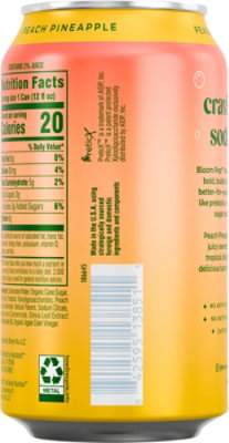 Bloom Pop Peach Pineapple 12fz - 12 FZ - Image 5
