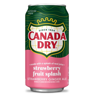 Canada Dry Fruit Splash Strawberry 12-12fz - 12-12 FZ - Image 3
