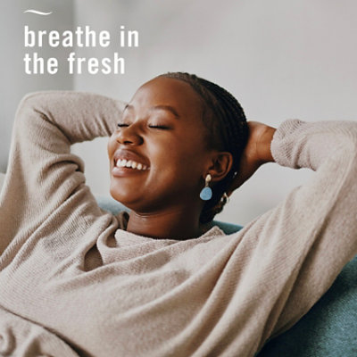 Febreze Plug Scented Oil Refills, Lilac Sunrise - 2-.87 Fl. Oz. - 2-.87 FZ - Image 6