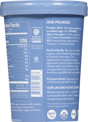 Cocojune Protein Ygrt Plain Unswtnd - 16.8 OZ - Image 5