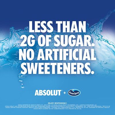 Absolut Ocean Refreshers Variety - 8-12 FZ - Image 3
