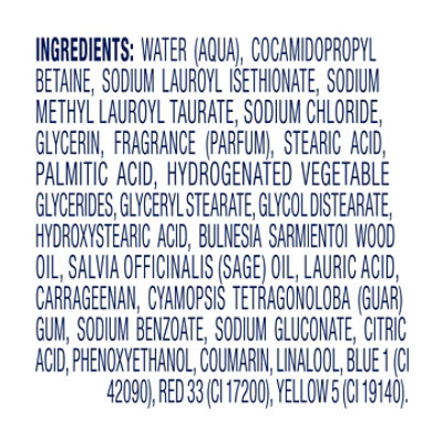 Dove Body Wash Santo & Sage 20 Fo - 20 FZ - Image 4