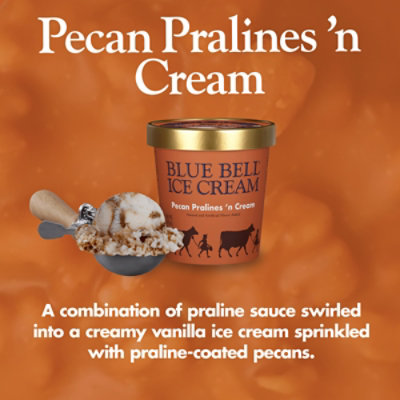 Blue Bell Pecan Pralines 'n Cream Ice Cream - 1 Pint - 1 PT - Image 2