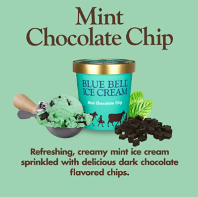 Blue Bell Mint Chocolate Chip Ice Cream - 1 Pint - 1 PT - Image 2
