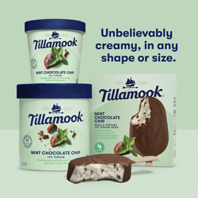 Tillamook Mint Chocolate Chip Ice Cream Bars, 4 Count, 12 Fz, Individually Wrapped - 4-3 FZ - Image 3
