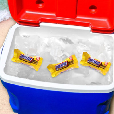 Snickers Ic Crm Bar Pb Crnchy Mini - 7.91 FZ - Image 5