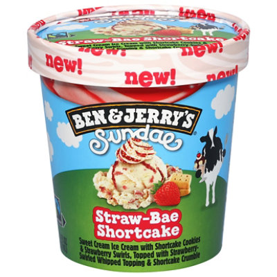 Ben & Jerry's Ice Cream Strawberry Shortcake 14.4 Fz - 14.4 FZ