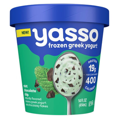 Yasso Mint Chocolate Chip Ice Cream 14fz - 14 FZ - Image 1