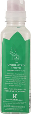 Karma Wellness Watermelon Wild Berry 18fz - 18 FZ - Image 6