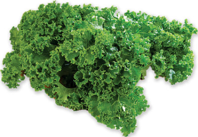 Organic Kale - 16 OZ