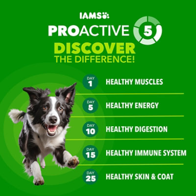 Iams Proactive Health Beef & Rice - 15 LB - Image 5
