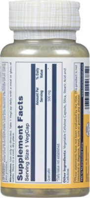 Solaray Quercetin 500mg - 90 CT - Image 5