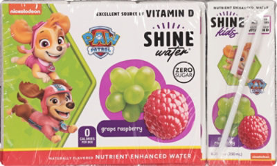 Shinewater Paw Patrol Grape Raspberry Nutrient Enchanged Water - 54 Oz - Image 5