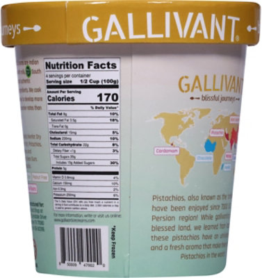 Gallivant Blissful Journeys Ice Cream Mawa Persian Pistachio - 16 OZ - Image 5