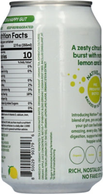 Live Kombucha Kombucha Citrus Rush - 12 OZ - Image 5