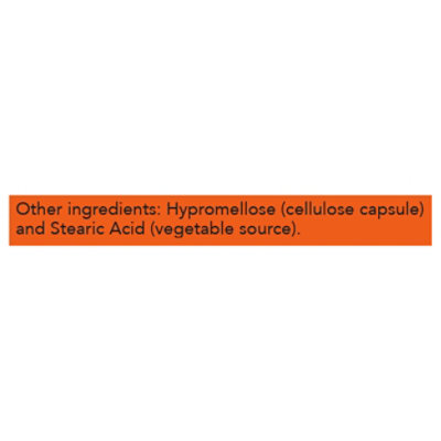 Now Echinacea - 100 CT - Image 3