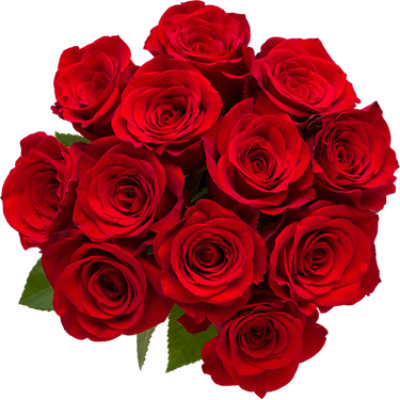 Overjoyed Rose Red 12 Stem - Each - Image 1