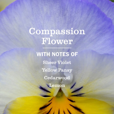 Mrs. Meyer's Clean Day  Compassion Flower Multi Surface Eveday Cleaner - 16 Fl. Oz. - Image 3
