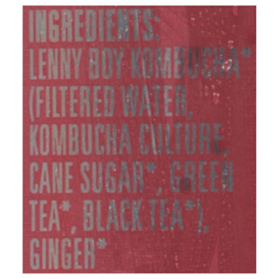 Lenny Boy Kombucha Kombucha Good Ol Ginger - 12 OZ - Image 4