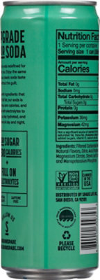 Spade Soda Kiwi Strwberry - 12 OZ - Image 5