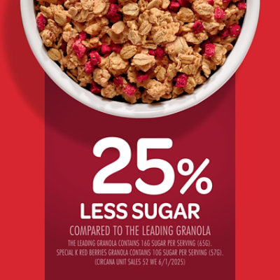 Kelloggs Spk Protein Granola Red Berries - 11 OZ - Image 3