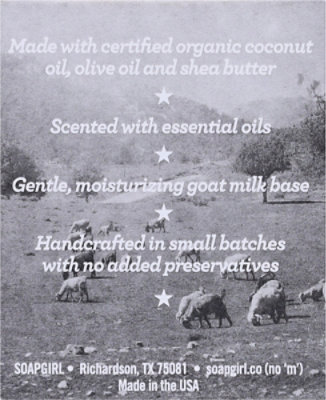Soapgirl Goat Milk Bar Charcoal - 5OZ - Image 4