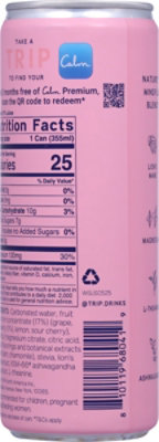 Trip Water Wild Strawberry - 12 OZ - Image 5