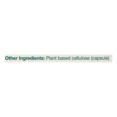 Himalaya Livercare - 90 CT - Image 4