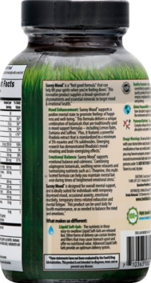 Irwin Naturals Sunny Mood - 75 CT - Image 5