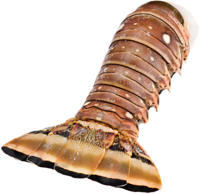 Lobster Tail Cold Water 7 Oz - 21-7 OZ - Image 1