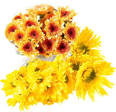 Bunch Color Block Yellow - Each - Image 1