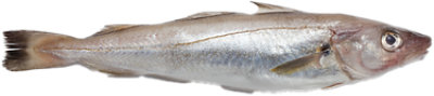 Whiting Whole Prev Fz - LB - Image 1