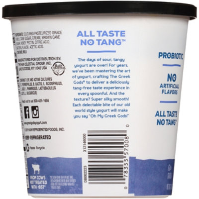 The Greek Gods Blueberry with Honey Greek Style Yogurt Tub - 24 Oz - Image 5