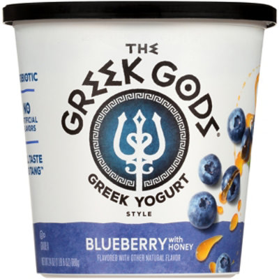 The Greek Gods Blueberry with Honey Greek Style Yogurt Tub - 24 Oz - Image 2