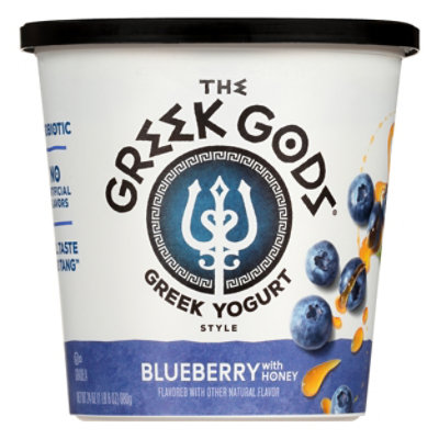 The Greek Gods Blueberry with Honey Greek Style Yogurt Tub - 24 Oz - Image 1