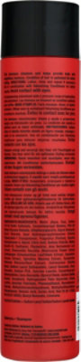 Big Sexy Clr Safe Vol Sham - 10.6 OZ - Image 5