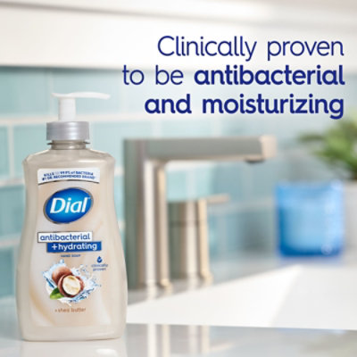 Dial Complete Shea Butter Liquid Hand Soap 11 Fl Oz - 11 FZ - Image 1