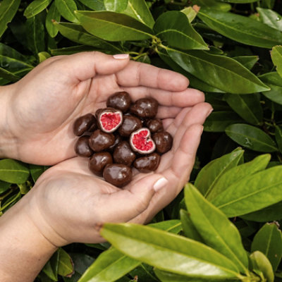 Tru Fru Raspberries In White & Dark Chocolate 1.7 Oz 12 Ct - 1.7 OZ - Image 4