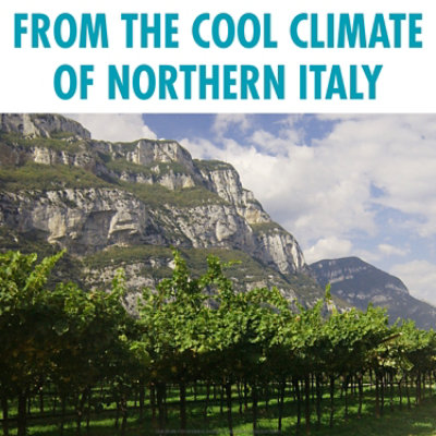 Ecco Domani 90 Calorie Pinot Grigio Wine - 750 ML - Image 5