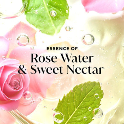 Olay Bw Fo Rw Swt Nctr 4/35o - 35 FZ - Image 3