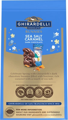 Ghirardelli Dark Chocolate Caramel Bunnies - 4.1 OZ - Image 5