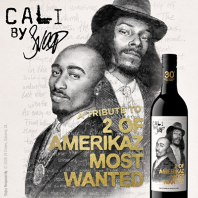 19 Crimes Amerikaz Most Wanted Red - 750 ML - Image 2