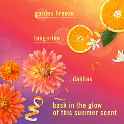 Febreze Air Freshener Aerosol / Sprays Summer Golden Hour - 8.1 OZ - Image 4