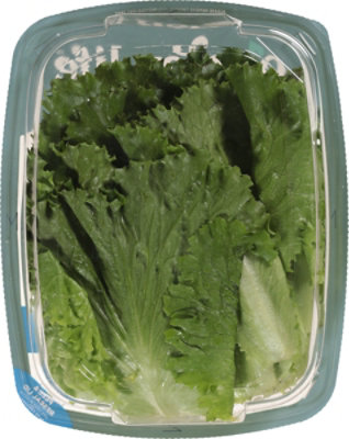 Garden Life Deli Leaf - 5 OZ - Image 4