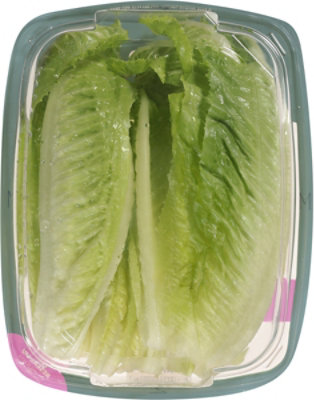 Garden Like Romaine Lettuce Leaf Singles - 7 OZ - Image 4