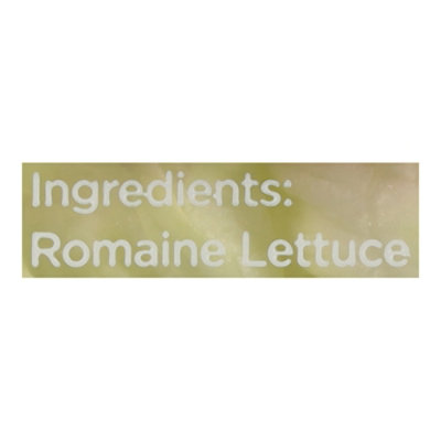 Garden Like Romaine Lettuce Leaf Singles - 7 OZ - Image 3