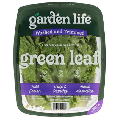 Garden Life Lettuce Green Leaf Singles - 7 OZ - Image 2