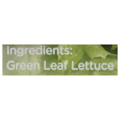 Garden Life Lettuce Green Leaf Singles - 7 OZ - Image 3