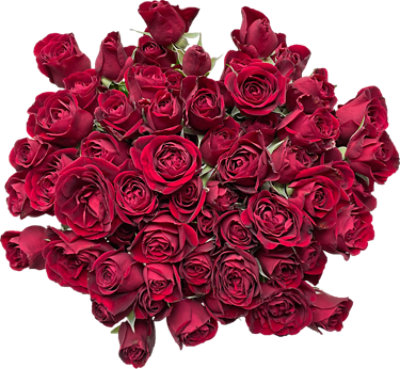 Spray Rose Mix Holiday - Each - randalls