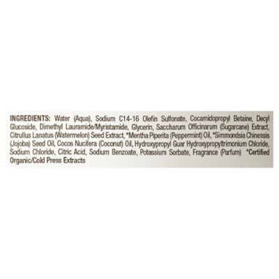 Raw Sugar Body Wash Watermelon Mint - 20 OZ - Image 3